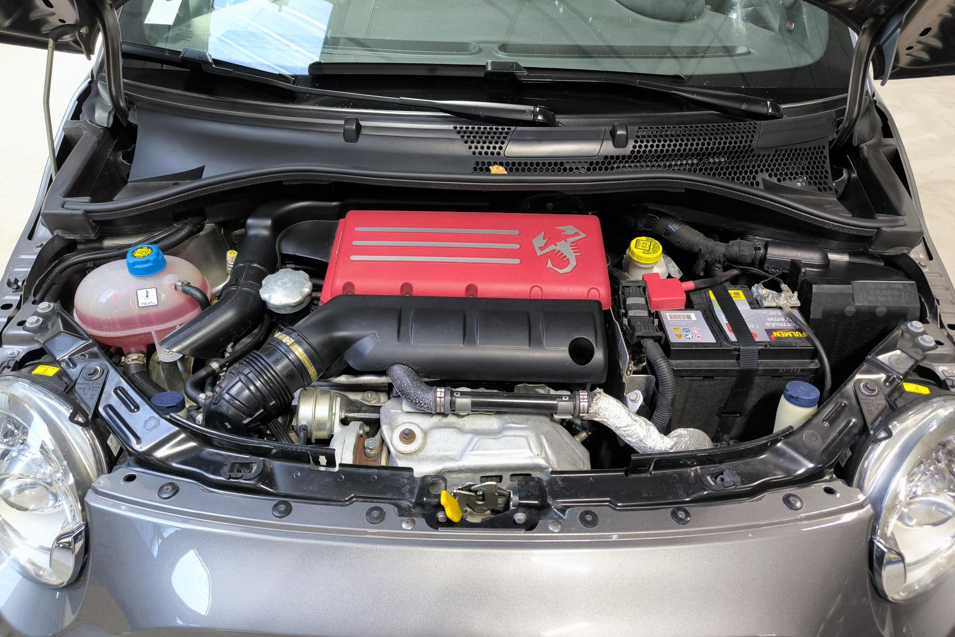 image_3684100_29